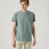 Camiseta Scotta organic verdegris 1